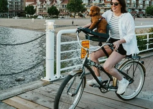 Buddyrider