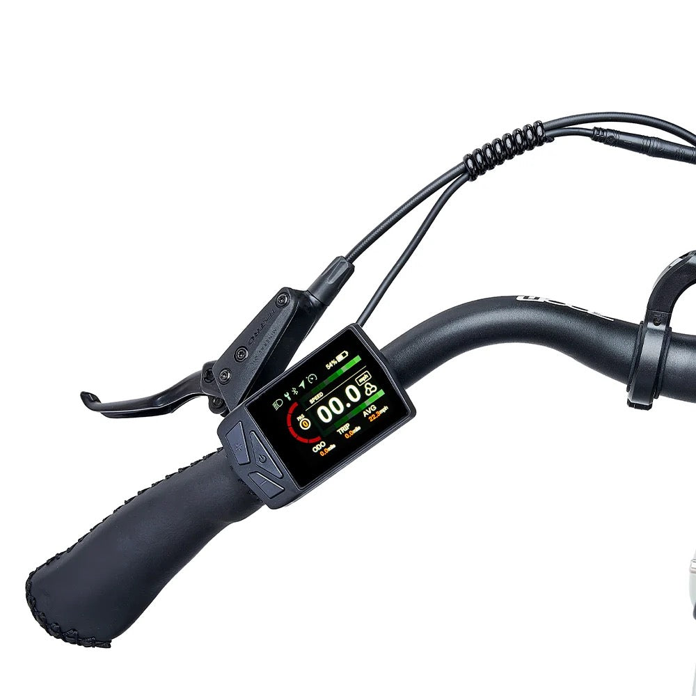 2026 Hygge Lossø Step E-Bike