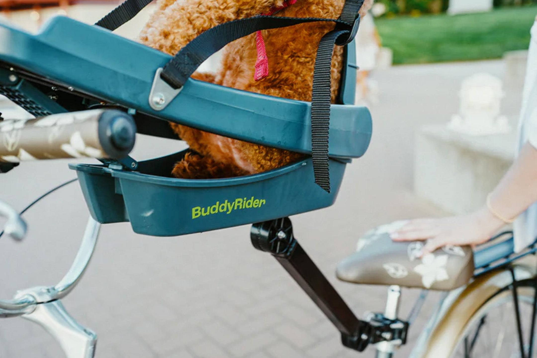 Buddy Rider Dog Seat Series 2 Flex Arm