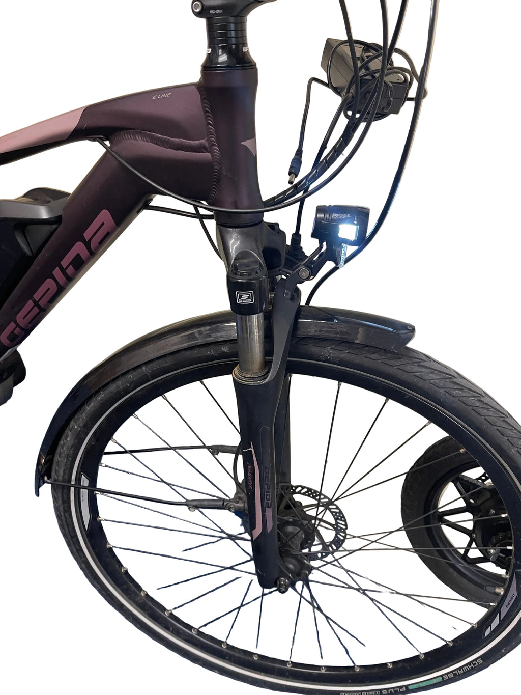 Gepida Bosch  Alboin Alivio Trekking eBike