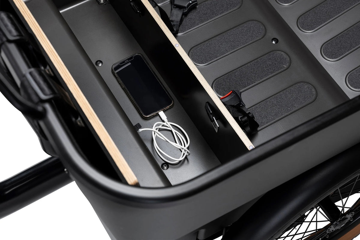 Batribike Dynamic   Cargo   3