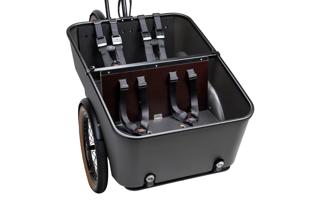 Batribike Dynamic   Cargo   3