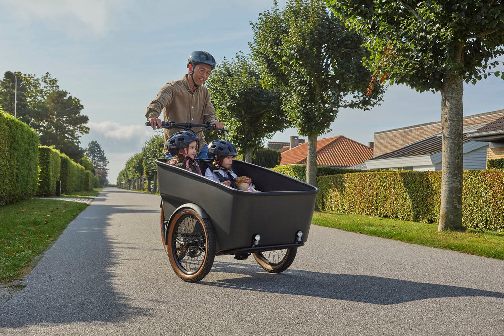 Batribike Dynamic   Cargo   3