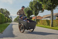 Batribike Dynamic   Cargo   3