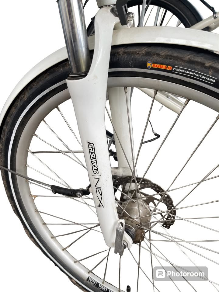 Volt Pulse eBike