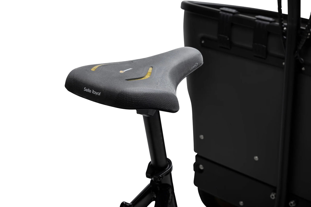 Batribike Dynamic   Cargo   3