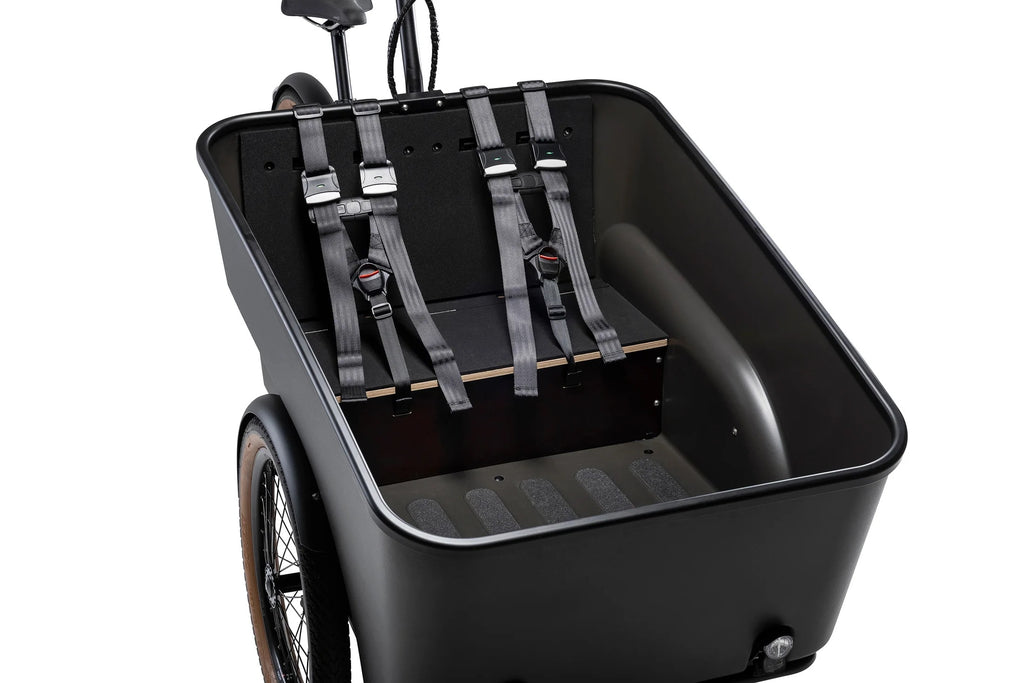 Batribike Dynamic   Cargo   3