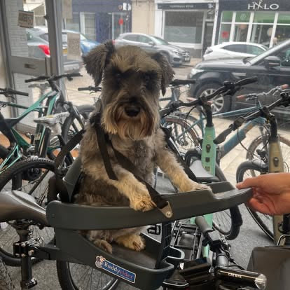 Buddyrider Dog Seat