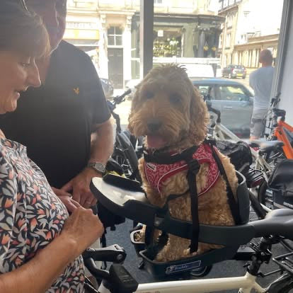 Buddyrider Dog Seat