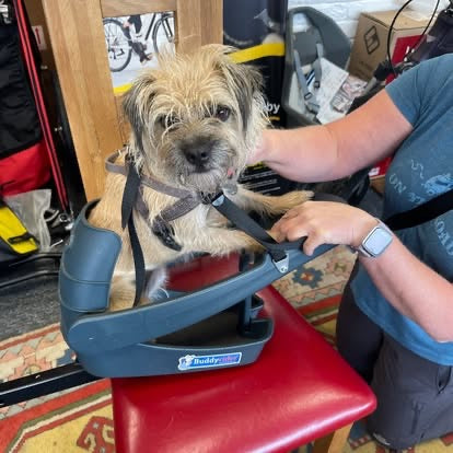 Buddyrider Dog Seat