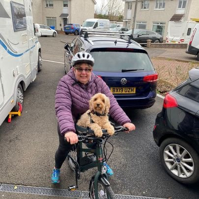 Buddyrider Dog Seat